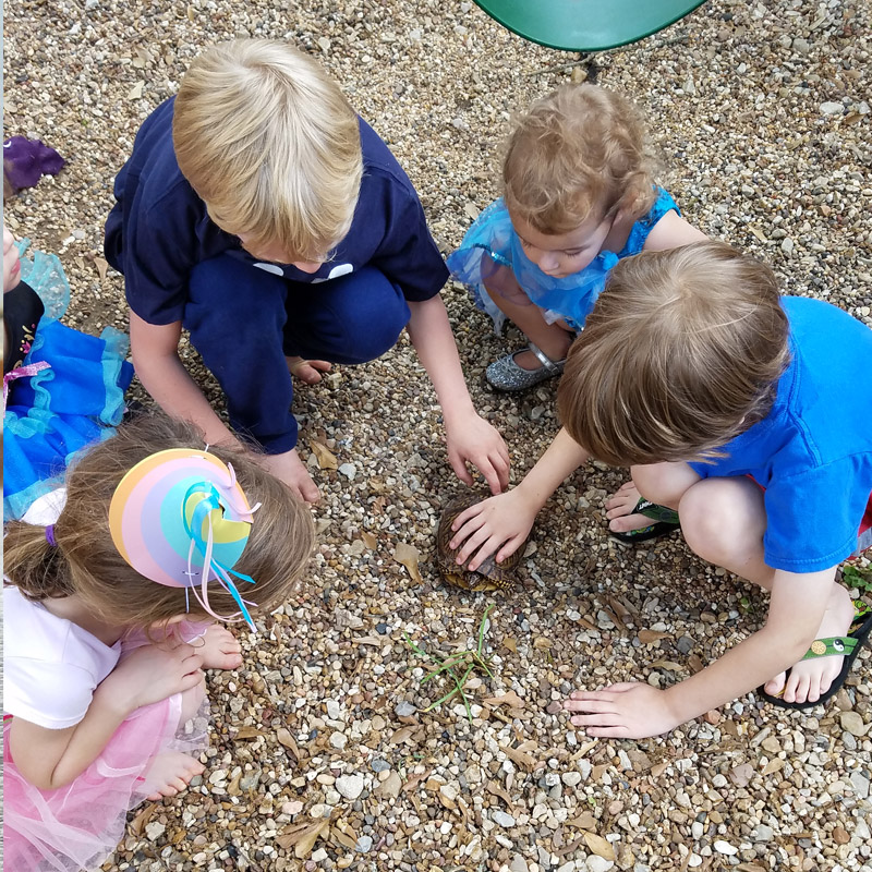 photo gallery image of School Event